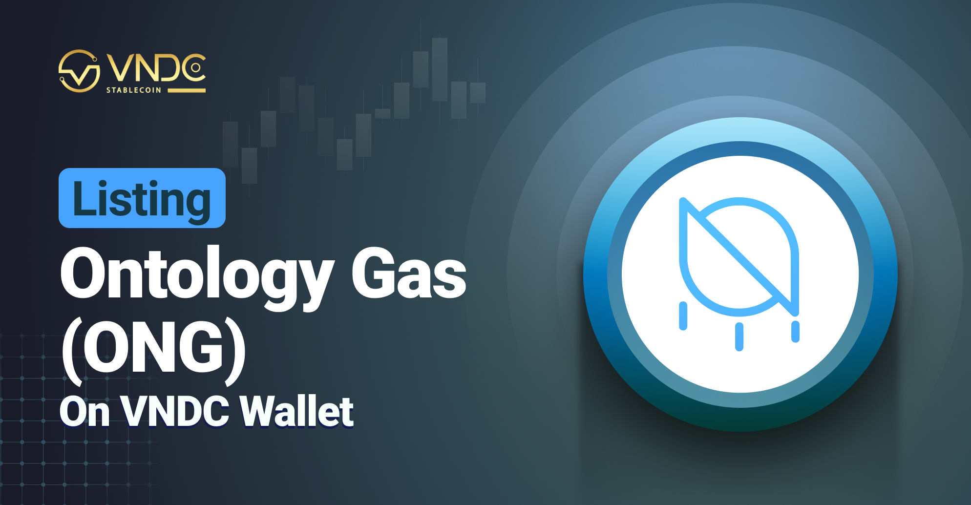 Listing Ontology Gas Token (ONG) trên VNDC Wallet